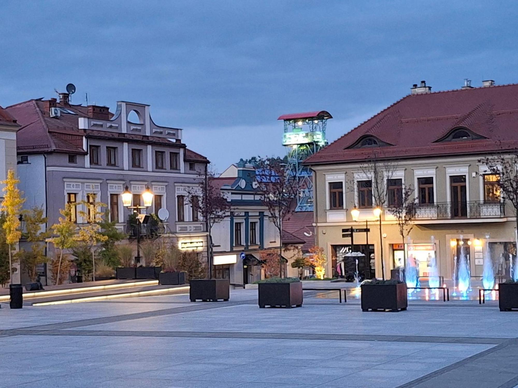 Apartament Studio Z Widokiem Na Rynek 博赫尼亚 外观 照片