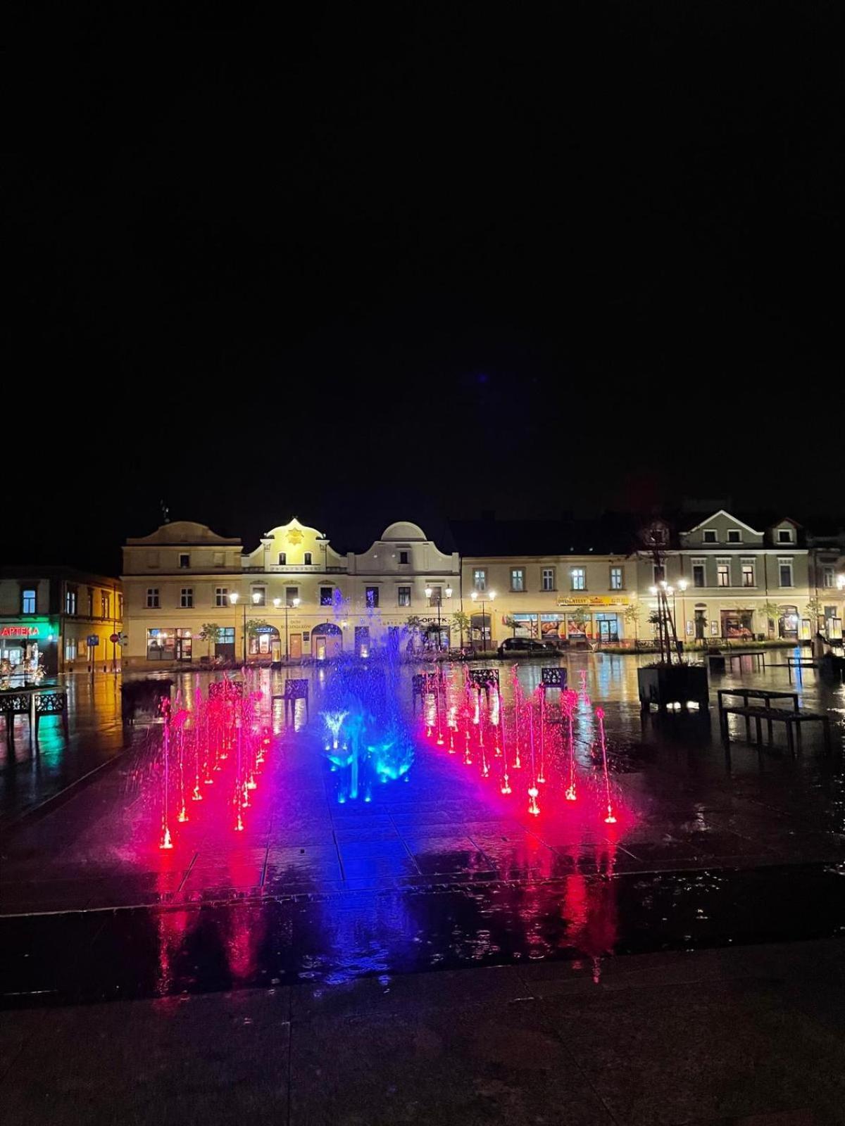 Apartament Studio Z Widokiem Na Rynek 博赫尼亚 外观 照片